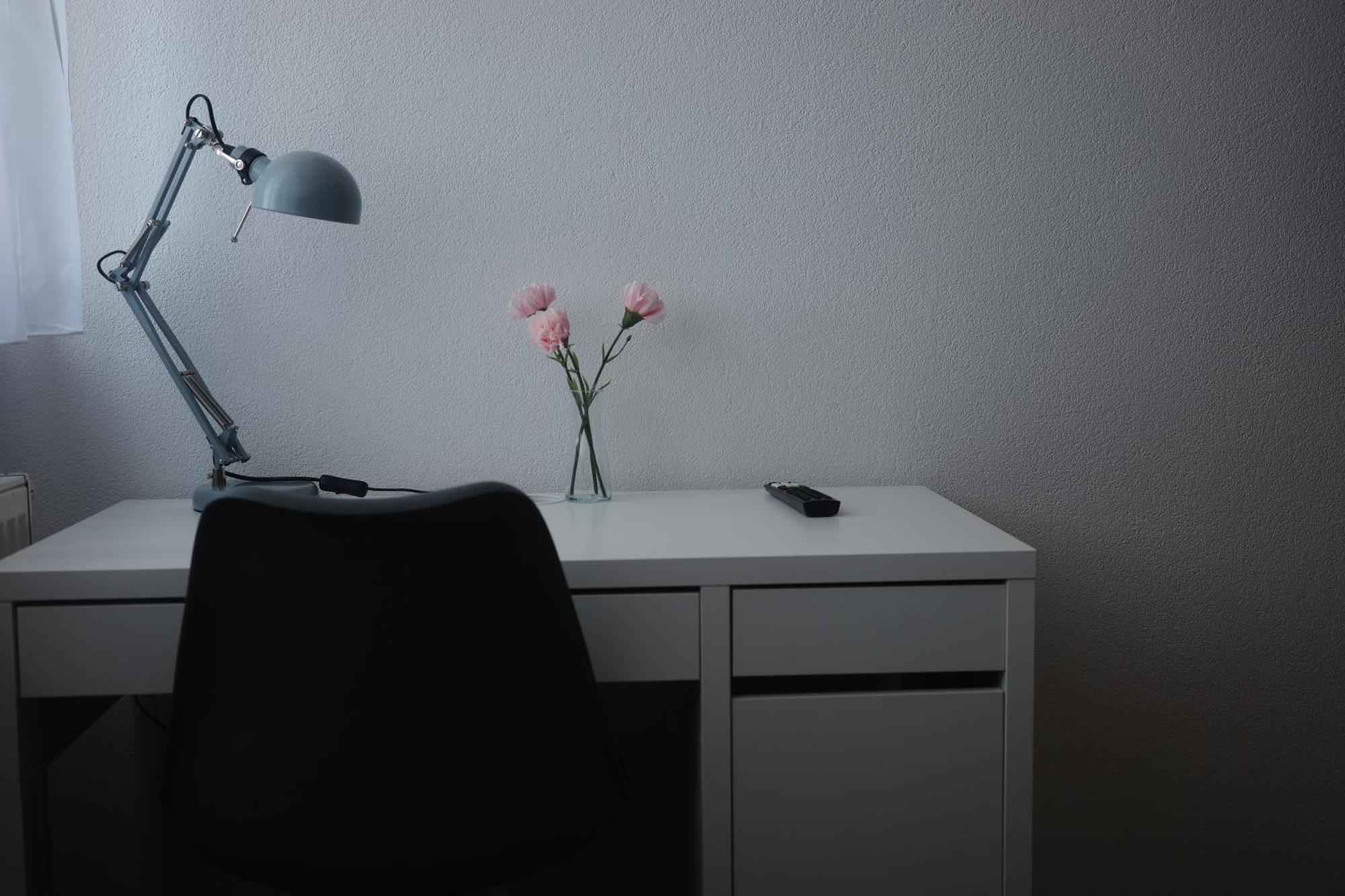 Moderne Wohnung In Eutritzsch Leipzig Ngoại thất bức ảnh